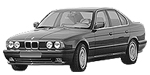 BMW E34 P2272 Fault Code